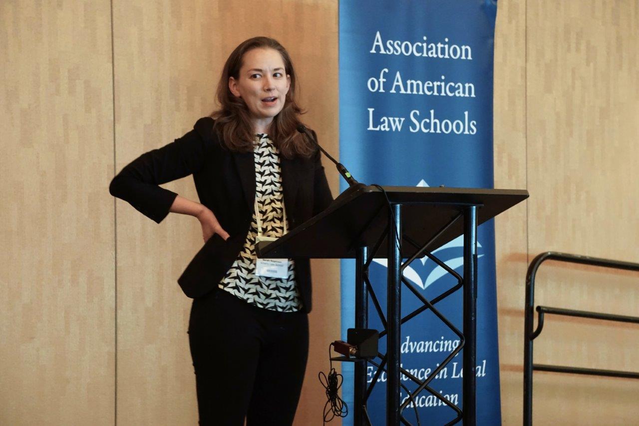 Albany Law Professor Sarah Rogerson